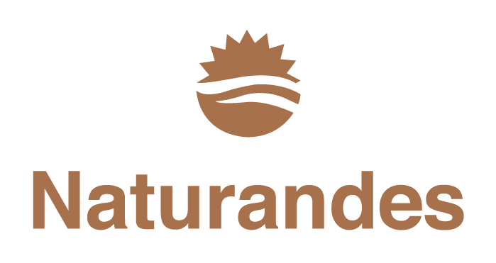 Logo-Slider
